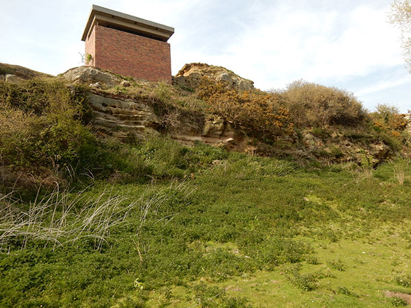 East Sussex Local Geological Sites - Toot Rock at Pett Levels