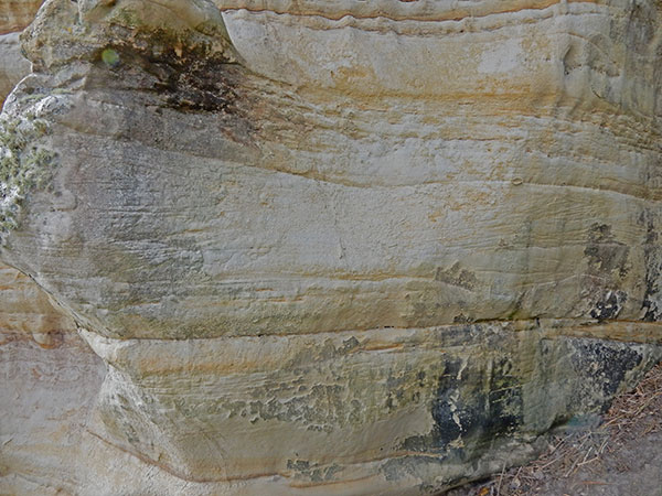 East Sussex Local Geological Sites - Toot Rock at Pett Levels