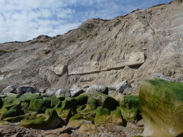 East Sussex Local Geological Sites - Coastal Section Ecclesbourne Glen to Fairlight Cove
