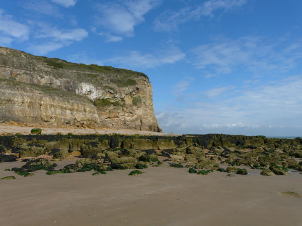 East Sussex Local Geological Sites - Coastal Section Fairlight Cove