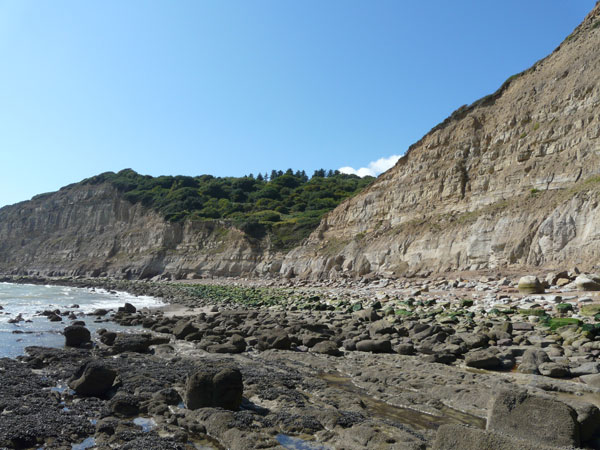 East Sussex Local Geological Sites - Coastal Section Ecclesbourne Glen to Fairlight Cove